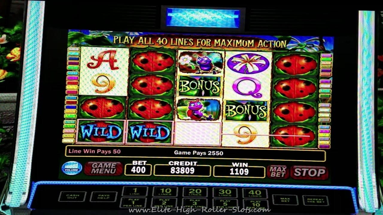 405% Första insättningsbonus på Intertops Casino